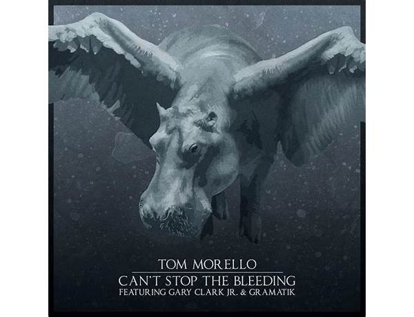 Can\'t Stop the Bleeding en Lyrics [Tom Morello]