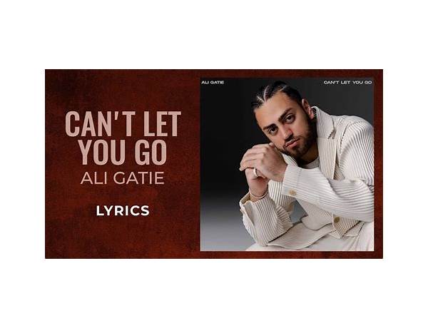 Can’t Let U Go en Lyrics [Taylor Made Da Prince]