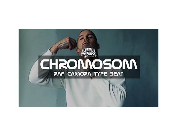 Chromosom de Lyrics [RAF Camora]