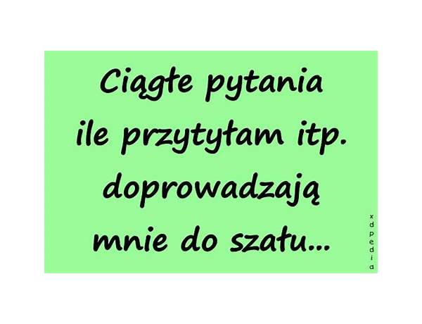 Ciągłe pytania pl Lyrics [Apatia]