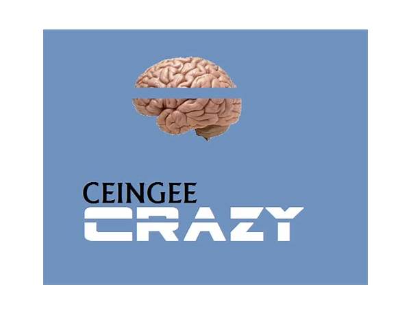 Crazy en Lyrics [Ceingee]