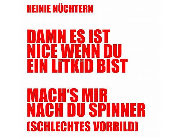 Damn es ist nice wenn du ein LiTKiD bist de Lyrics [Heinie Nüchtern]