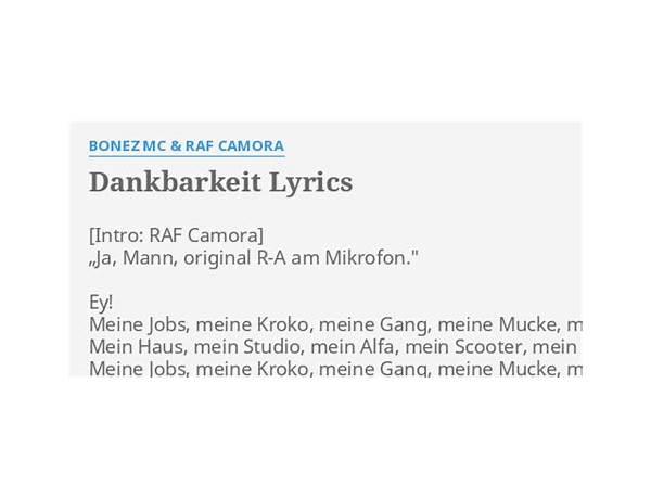 Dankbarkeit de Lyrics [Bonez MC & RAF Camora]