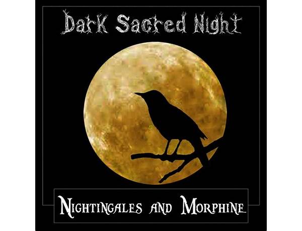 Dark Nightingales en Lyrics [Andrea Schroeder]