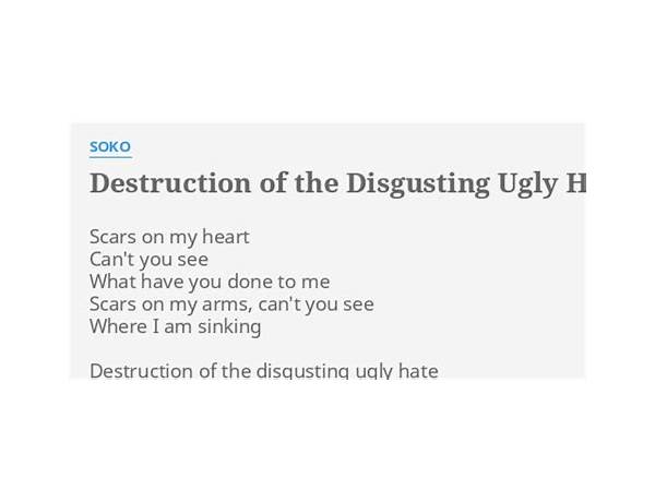 Destruction Of The Disgusting Ugly Hate en Lyrics [Soko (FRA)]