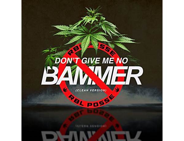 Don’t Give Me No Bammer Weed en Lyrics [RBL Posse]