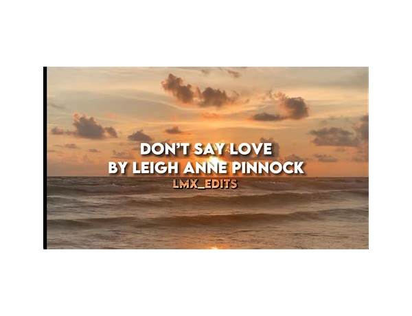Dont Say Love Lyrics by Leigh-Anne