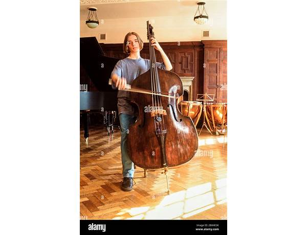 Double Bass: Richard Pryce, musical term