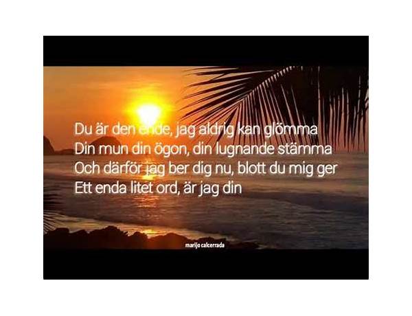 Du Är Den Ende sv Lyrics [Sissel]