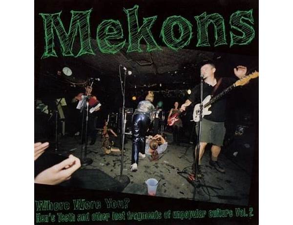 Fancy en Lyrics [Mekons]