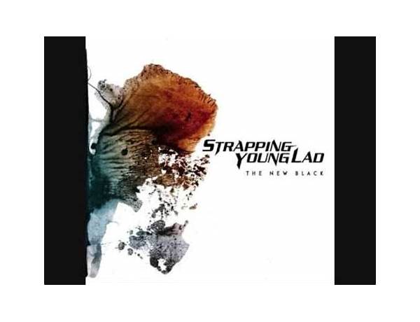 Far Beyond Metal en Lyrics [Strapping Young Lad]