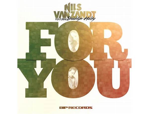 For You en Lyrics [Nils Van Zandt]