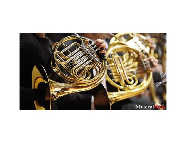 French Horn: Sarah Robinson, musical term