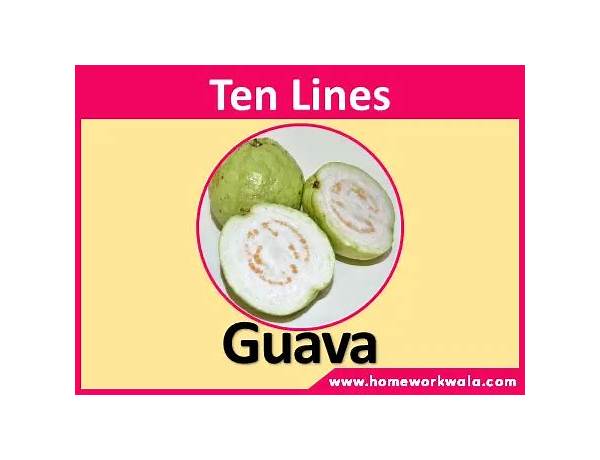 GUAVA en Lyrics [Outlit]