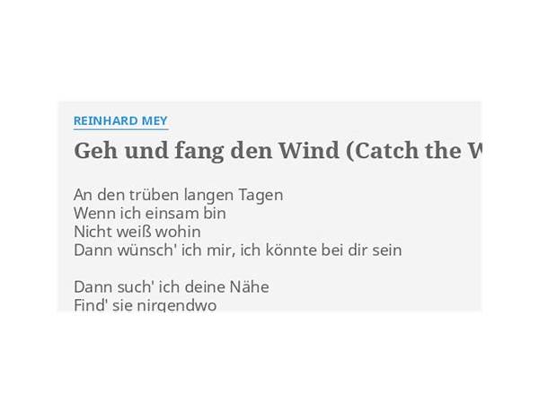 Geh und fang den Wind de Lyrics [Reinhard Mey]