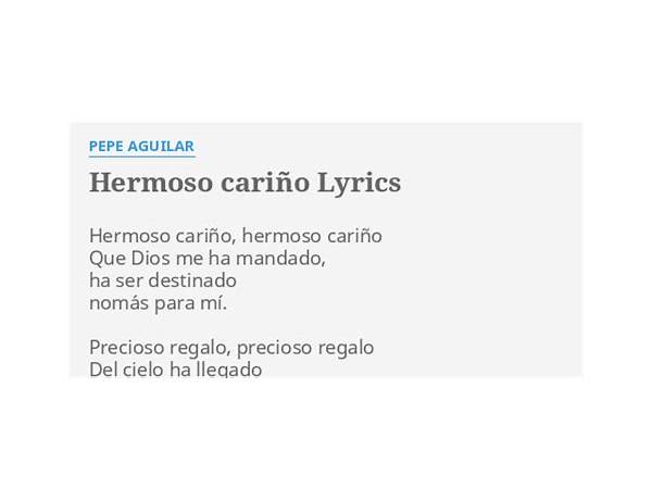 Hermoso cariño es Lyrics [Banda El Recodo]
