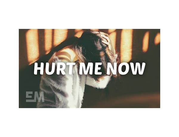 Hurting Me Now en Lyrics [Sia]