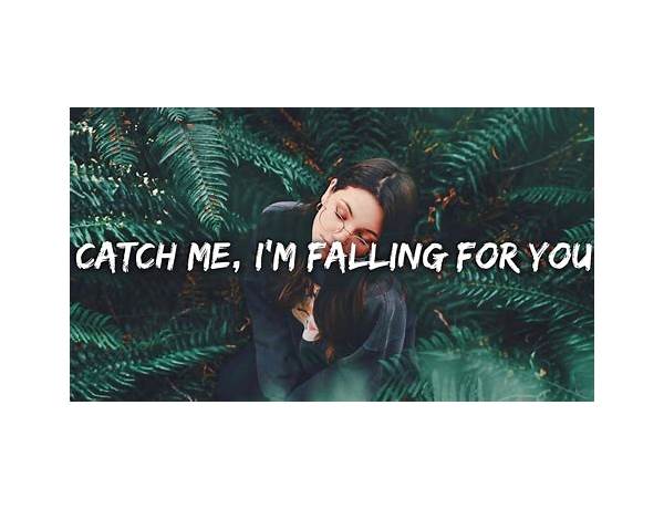 I Fall You Fall en Lyrics [Tobin Sprout]