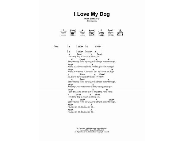 I Love My Dog en Lyrics [Mapache]