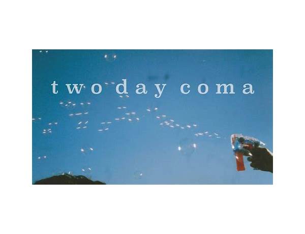 If I Wasn\'t en Lyrics [Two Day Coma]