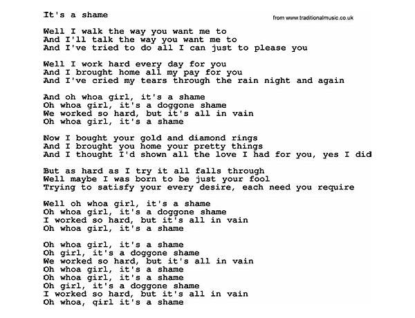 It\'s A Shame en Lyrics [The F-use (Rock)]