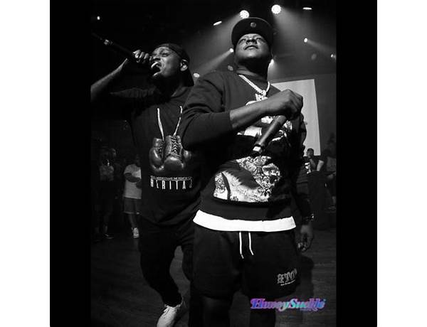 Jadakiss and Styles P give a surprise performance at Chicago Vegandale Festival 
