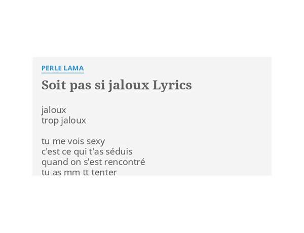 Jaloux fr Lyrics [Camille Lellouche]