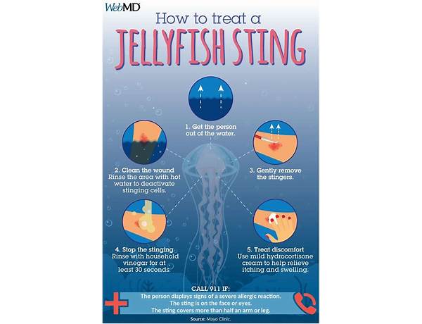 Jellyfish Stings en Lyrics [Estère]