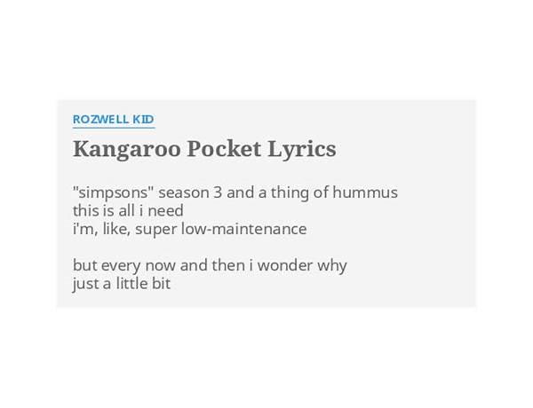 Kangaroo Pocket en Lyrics [Rozwell Kid]