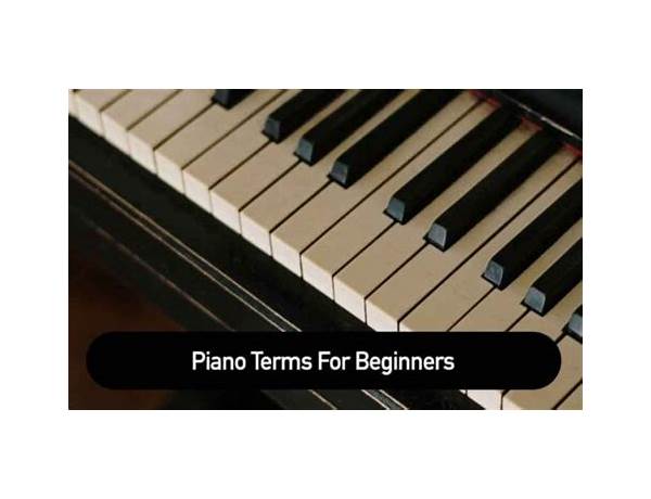 Keyboard: Brian Bell, musical term