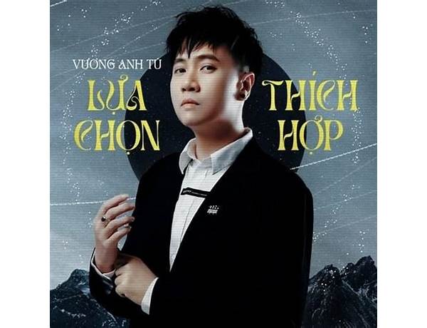 Lựa Chọn Thích Hợp vi Lyrics [Vương Anh Tú]