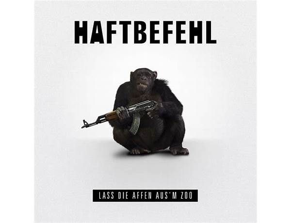 Lass die Affen aus\'m Zoo de Lyrics [Haftbefehl]