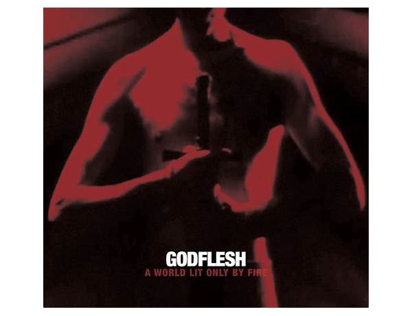 Life Giver Life Taker en Lyrics [Godflesh]