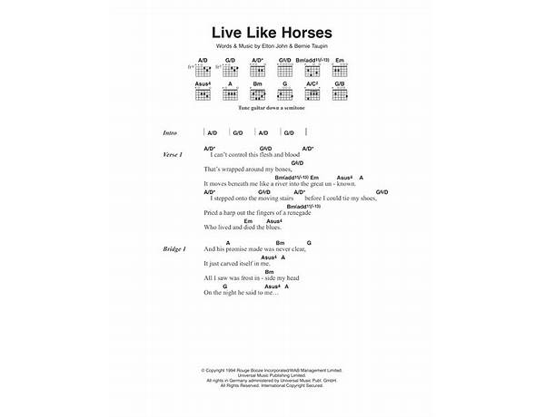 Like Horses en Lyrics [Syd Matters]