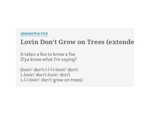 Lovin’ Don’t Grow on Trees en Lyrics [Samantha Fox]