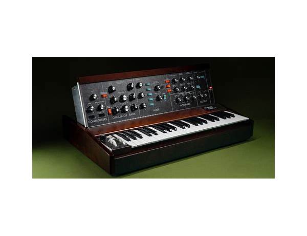 Minimoog Synthesizer: Stefano Vicarelli, musical term