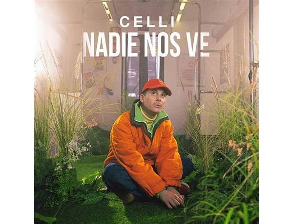 Nadie Nos Ve es Lyrics [CELLI]