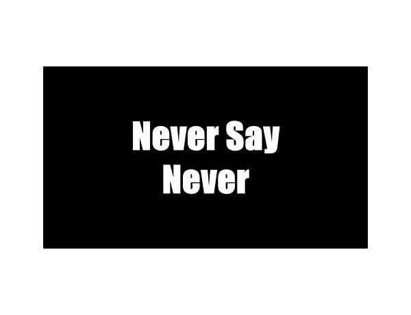 Never Say Never en Lyrics [KMFDM]