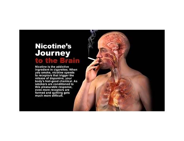 Nicotine en Lyrics [William Bishop]