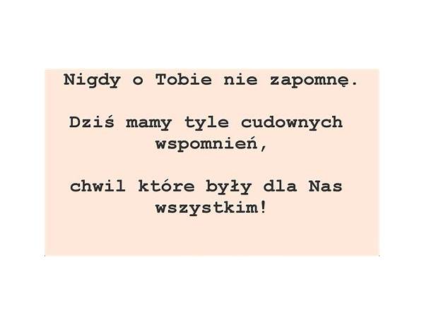 Nigdy nie słyszałem o tobie pl Lyrics [T.W.R.]