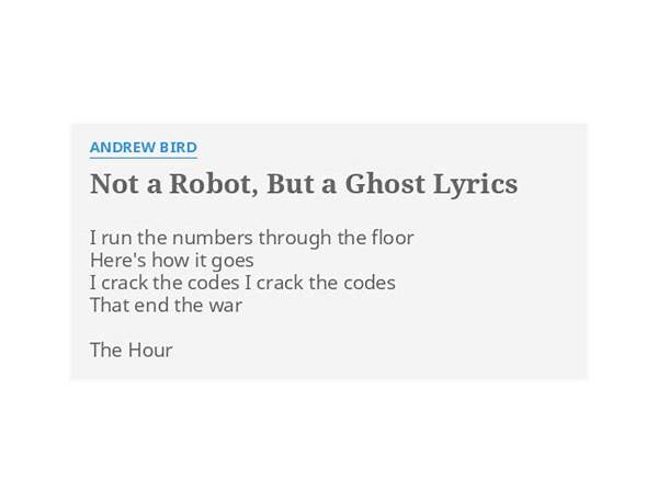 Not A Robot, But A Ghost en Lyrics [Andrew Bird]