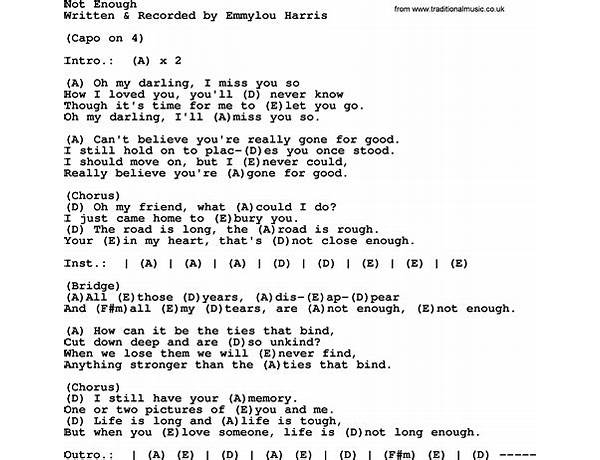 Not Enough en Lyrics [Ryan Adams]