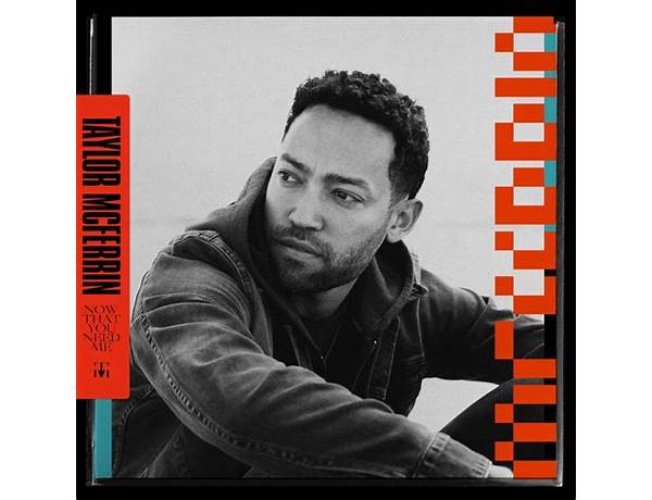 Now That You Need Me en Lyrics [Taylor McFerrin]