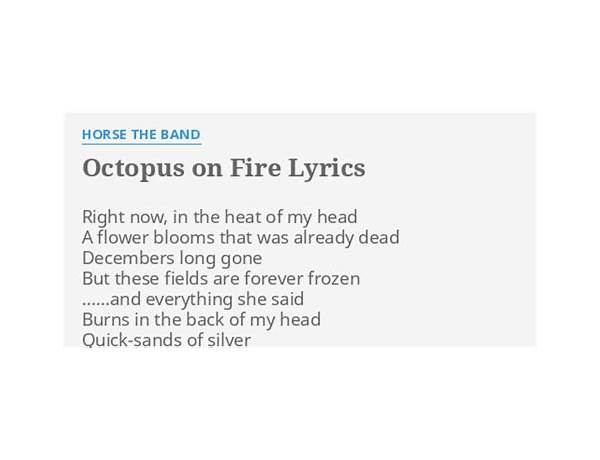 Octopus On Fire en Lyrics [Horse the Band]