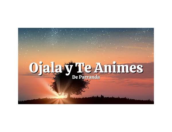 Ojal‡ Te Animes es Lyrics [Bobby Pulido]