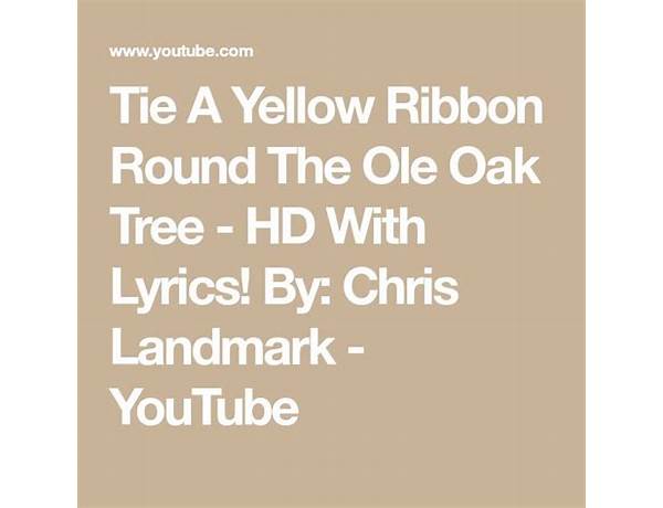 Osta lippu saliin - Tie a yellow ribbon round the old oak tree fi Lyrics [Turo\'s Hevi Gee]