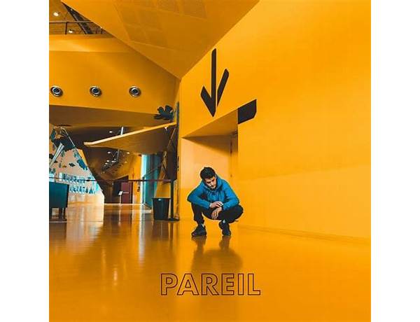 Pareil fr Lyrics [Carbonne]