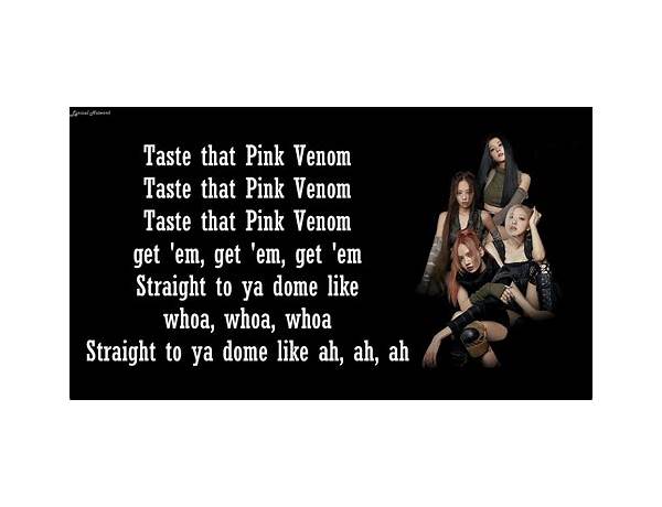 Pink Venom tr Lyrics [BLACKPINK]