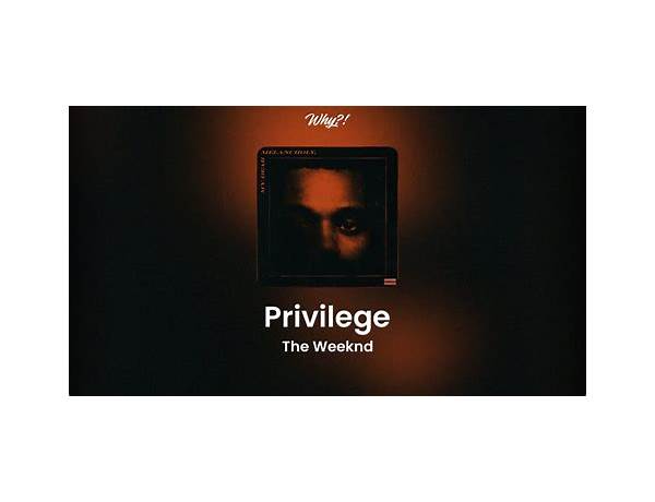 Privilege en Lyrics [DaVinci Don]