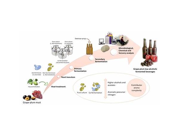 Produced: GRAPE FLAVOR PRODUCTION, musical term